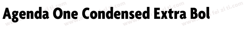 Agenda One Condensed Extra Bold It字体转换